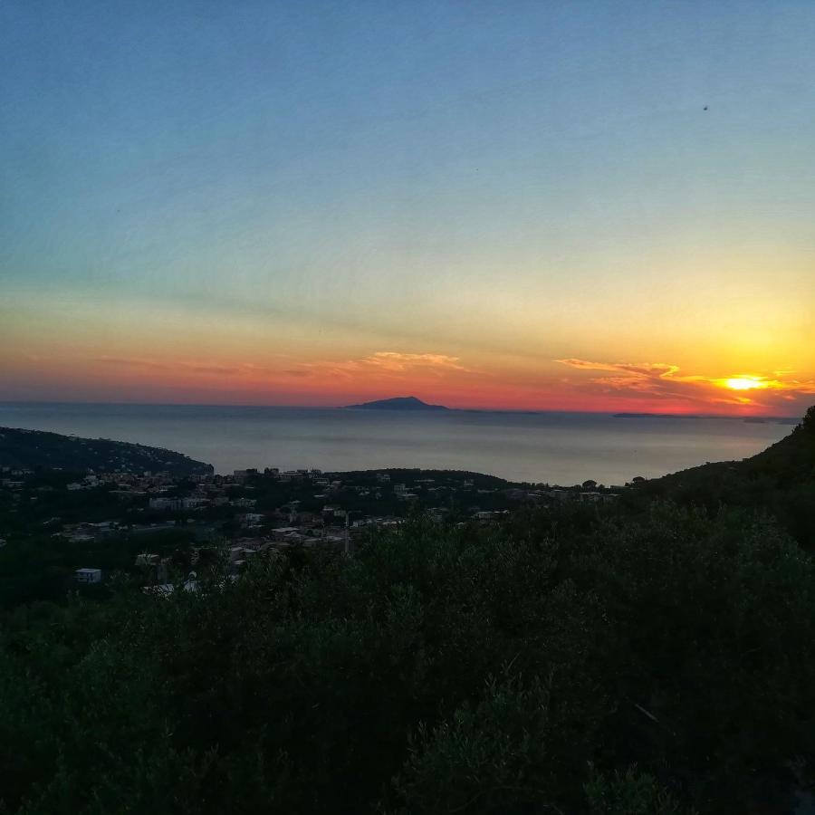 La Mandra, Cottage Tra Gli Ulivi Vico Equense Exteriér fotografie